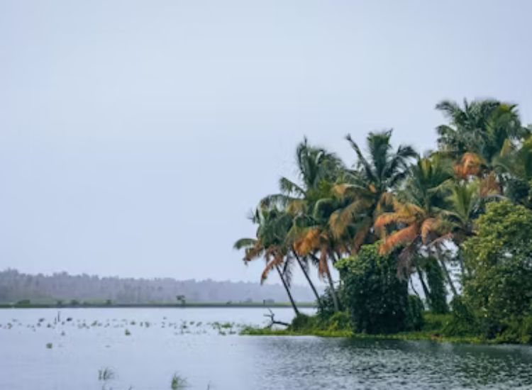 Sunset in Kerala
